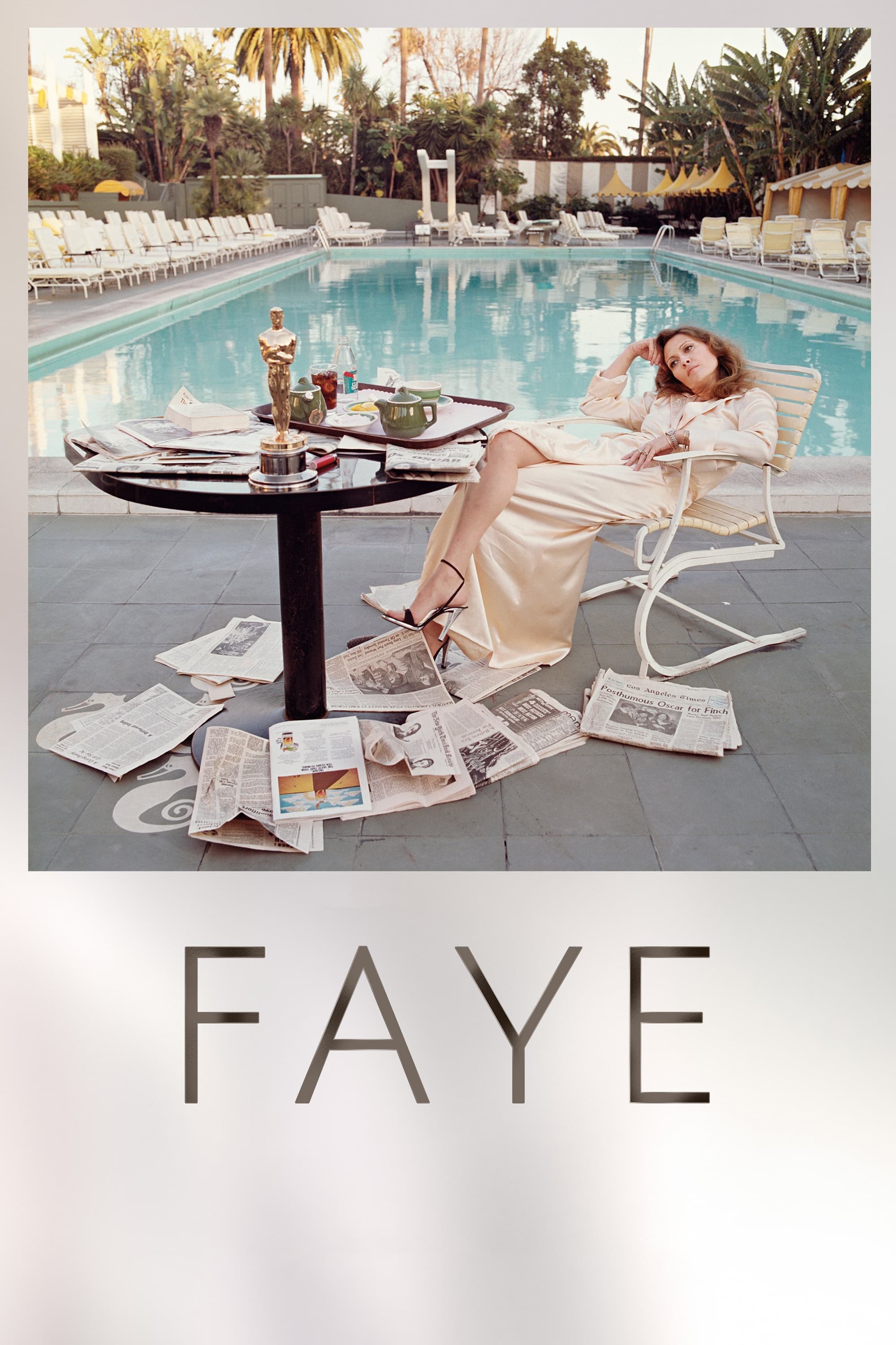Постер Faye
